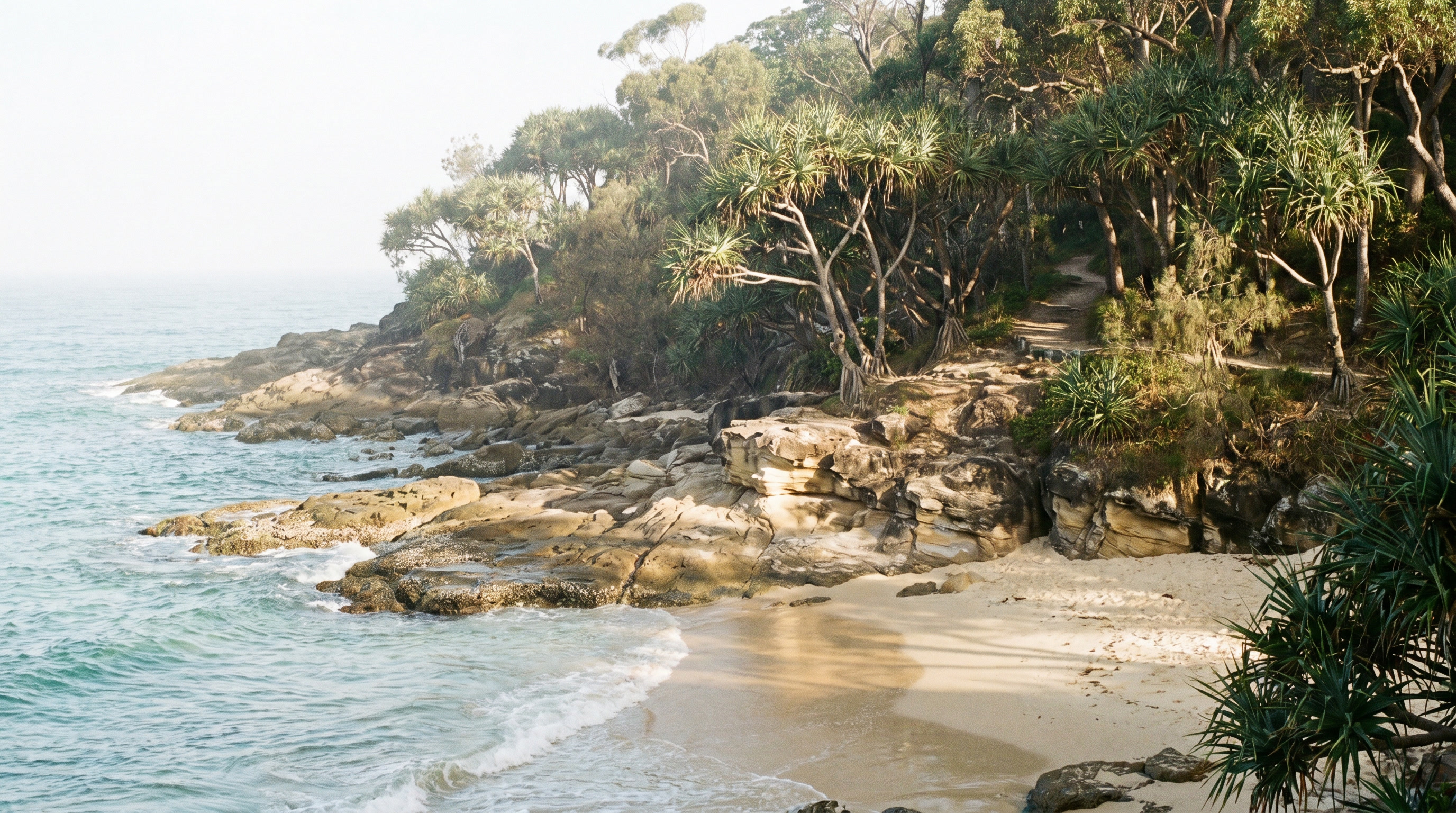 A quiet beach access path leading toward Tea Tree Bay in Noosa National Park.